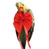 Reusable Pet Bird Diaper with Bowknot Comfort for Cockatiel Parrots Bird Nappy Flying Suit Pineapple Print