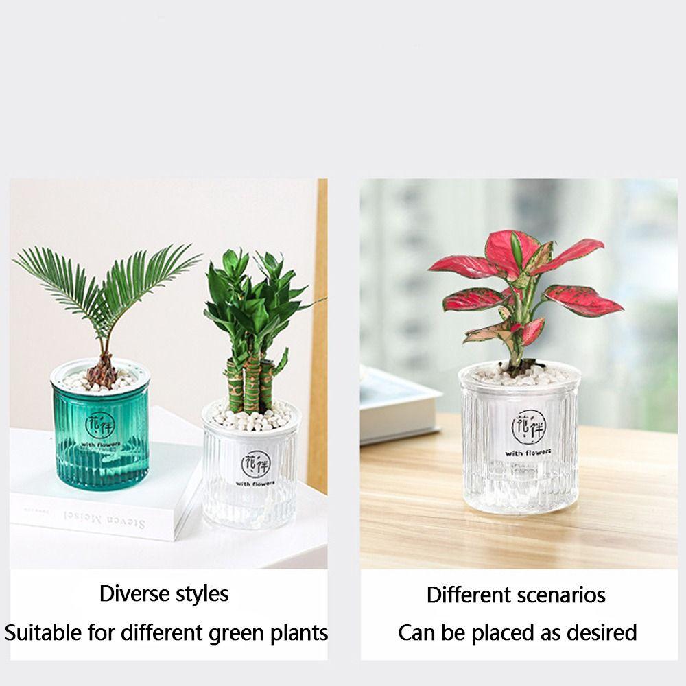 Transparenter Blumentopf Selbstbewässerung Gartendekoration Neuer Schreibtisch-Blumentopf