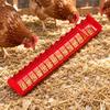 Poultry Feeder with Internal Partitions Multi-Use Feeding Trough Chicken