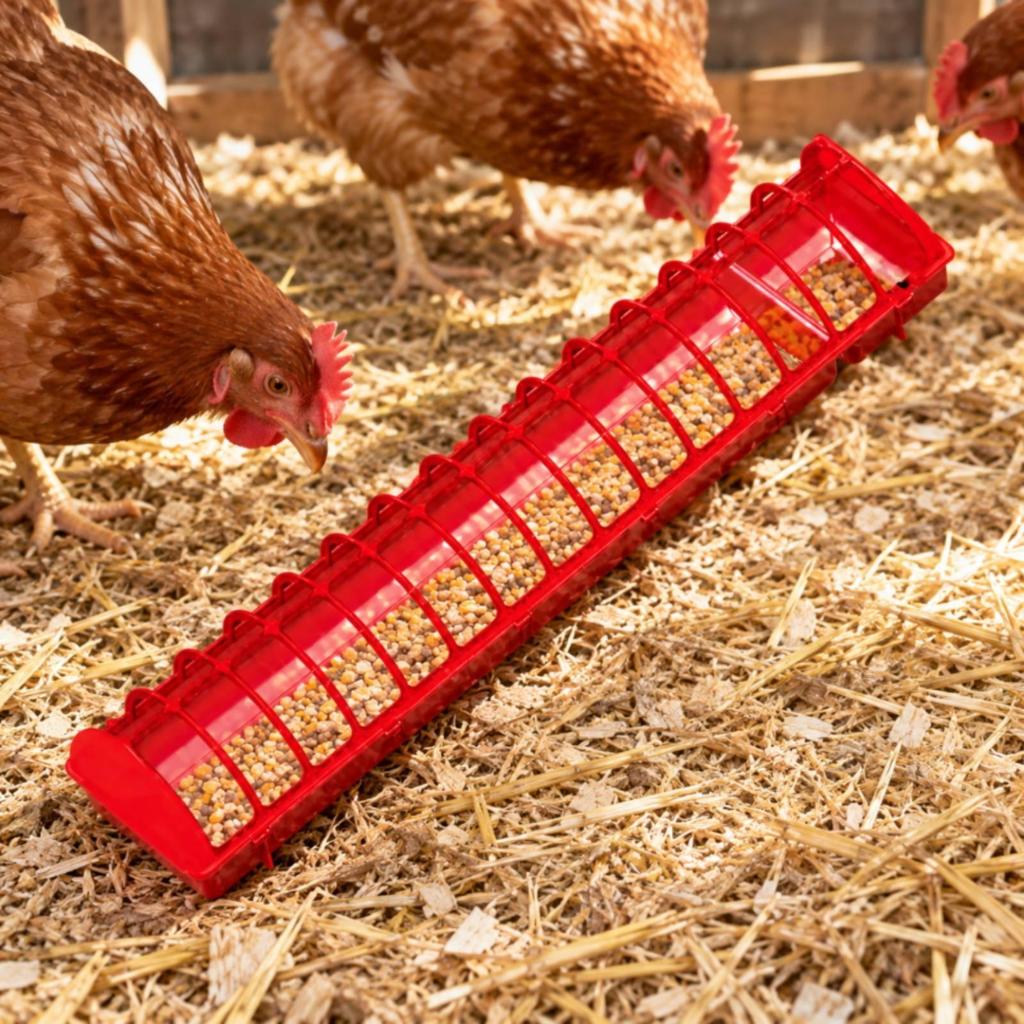 Poultry Feeder with Internal Partitions Multi-Use Feeding Trough Chicken