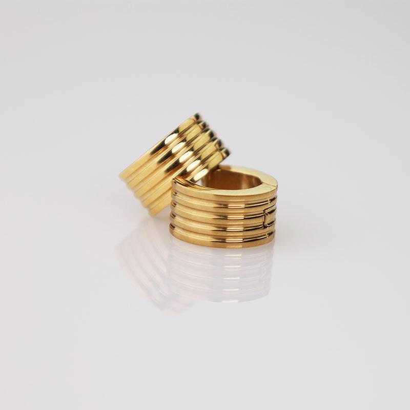 Electric Stripe Simple Earrings Premium Sense 18K Titanium Steel Earrings Niche Design Earrings Women