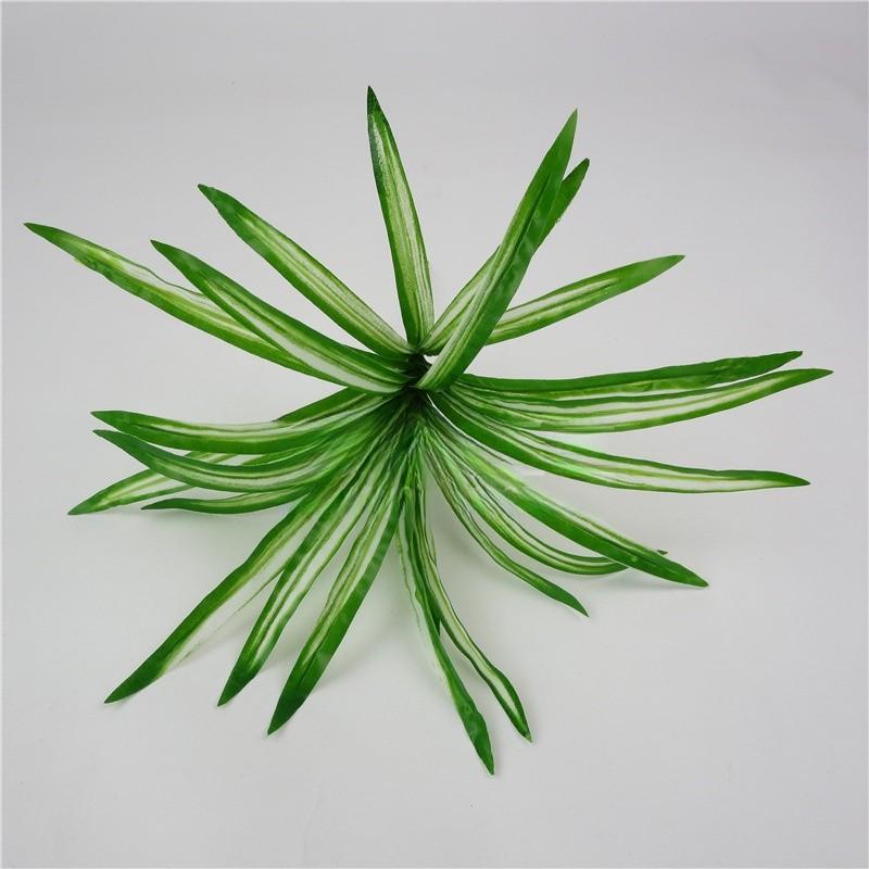 Хлорофитум хохлатый Для стены гостиной и декора офиса зелёный