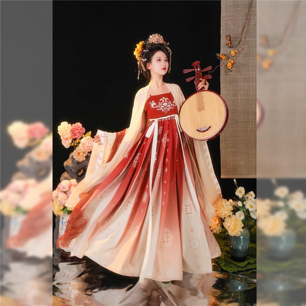 Китайский стиль династии Тан, платье HE ZI, женский костюм Hanfu, повседневный костюм с вышивкой