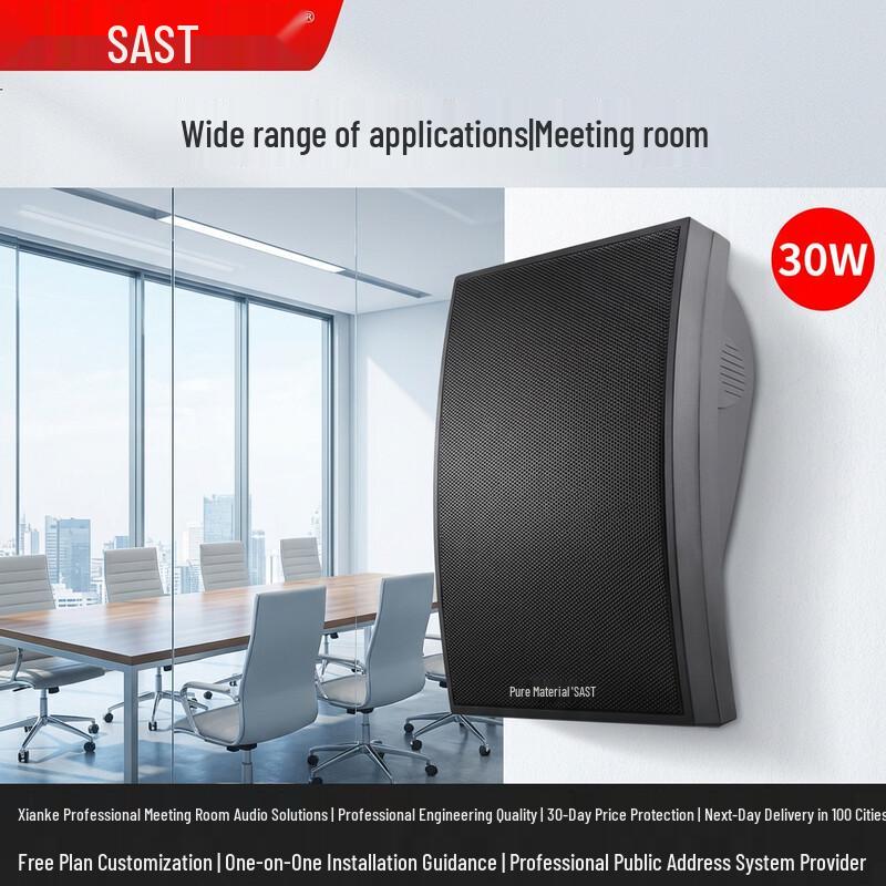 SAST DW70 30W Wall-Mounted Speaker (CN Version)