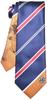 [Florence Spec] Dragon Ball Necktie 2 Goku