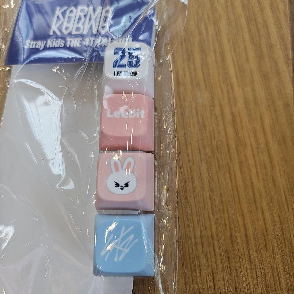 [USED] Lee Know RenoSkiz KARMA Pop-Up Keycap Key Ring