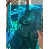 OEING Transparent Polycarbonate Sheet