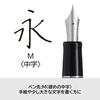 PILOT Custom Heritage SE Fountain Medium Nib Marble Blue with Black 14K Gold Pen, (M), Tip, FKVH3MRMALM, Nib.
