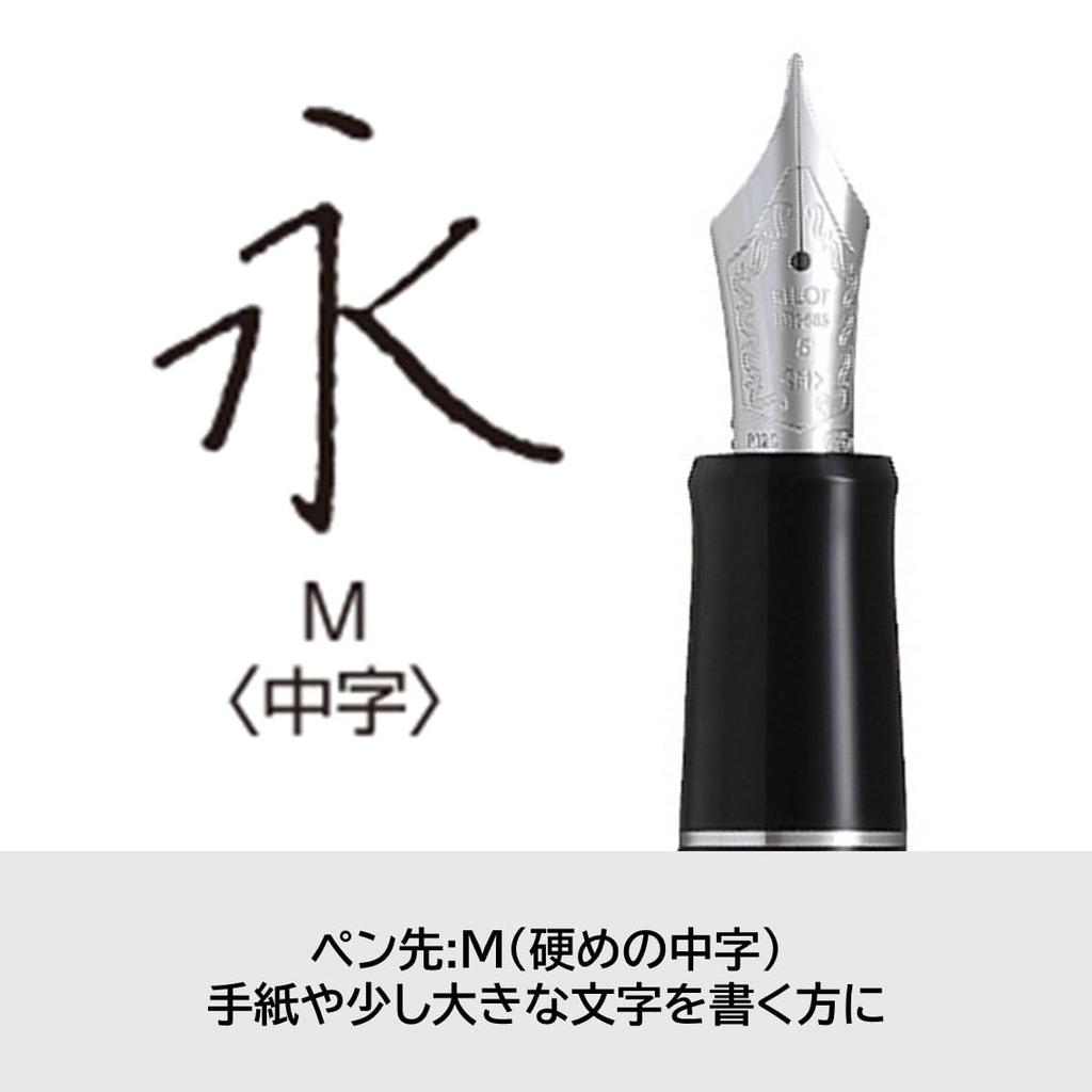 PILOT Custom Heritage SE Fountain Medium Nib Marble Blue with Black 14K Gold Pen, (M), Tip, FKVH3MRMALM, Nib.