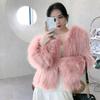 New imitation raccoon fur woven fur coat women's short thickened fox fur coat light small man