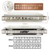 East Top Blues Harmonica In Bb 20 Brass Canvas and Cleaning Professional Diatonic Harmonica 10-Hole Key, Tones, Cover, Case, Cloth, (T008L-Bb-gm)