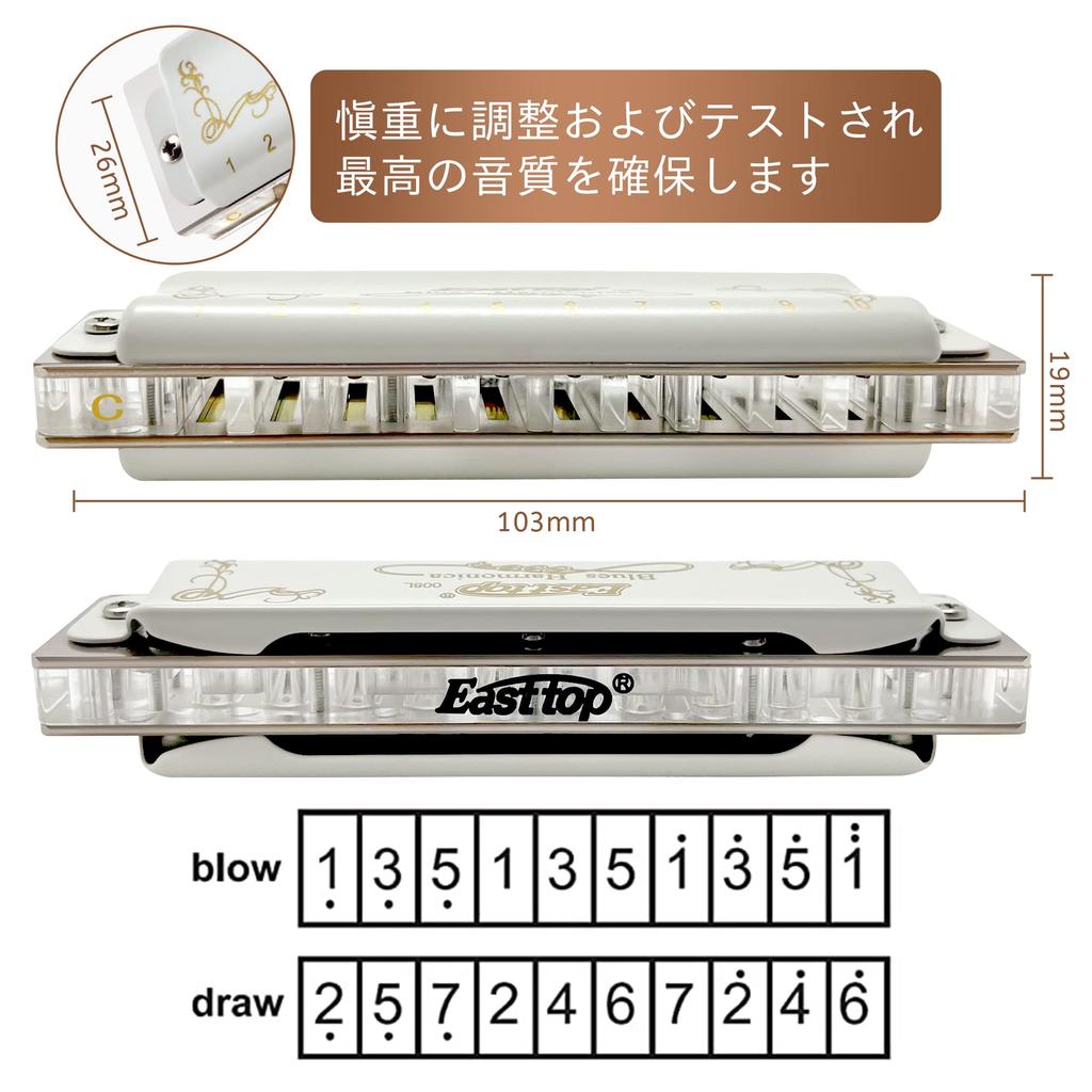 East Top Blues Harmonica In Bb 20 Brass Canvas and Cleaning Professional Diatonic Harmonica 10-Hole Key, Tones, Cover, Case, Cloth, (T008L-Bb-gm)