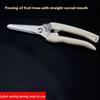 Stainless Steel Garden Shears Sharp Garden Pruning Shears Orchard Pruning Shears for Cutting Flowers Bonsai and Picking Fruit