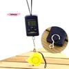 40kg Multifunctional Mini Digital Hanging Scale Portable Electronic Weighing Tool for Fishing Luggage Travel with Hook