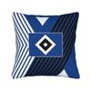 Lizzies Cartoon McGuires Square Pillow Cases  Cushion Covers Funny Zipper Decor Pillowcover for Car cm