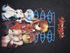 [USED] NEW ERA X Chibi Maruko-chan Collaboration Chibi Maruko-chan Sweatshirt, Size M