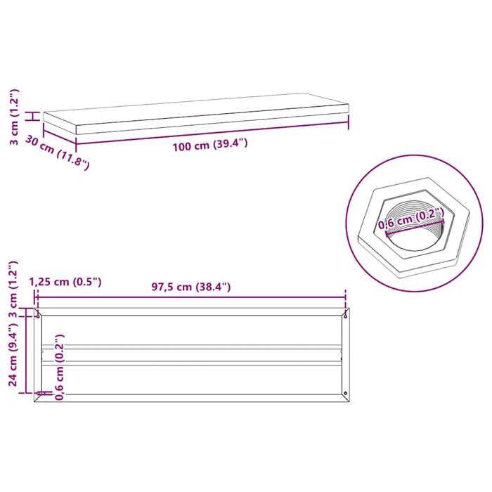 VidaXL Wall Shelves 2 Pcs 100x30x3 Cm Black Stainless Steel, Floating Shelf, Wall Display Shelf, Panel 30288