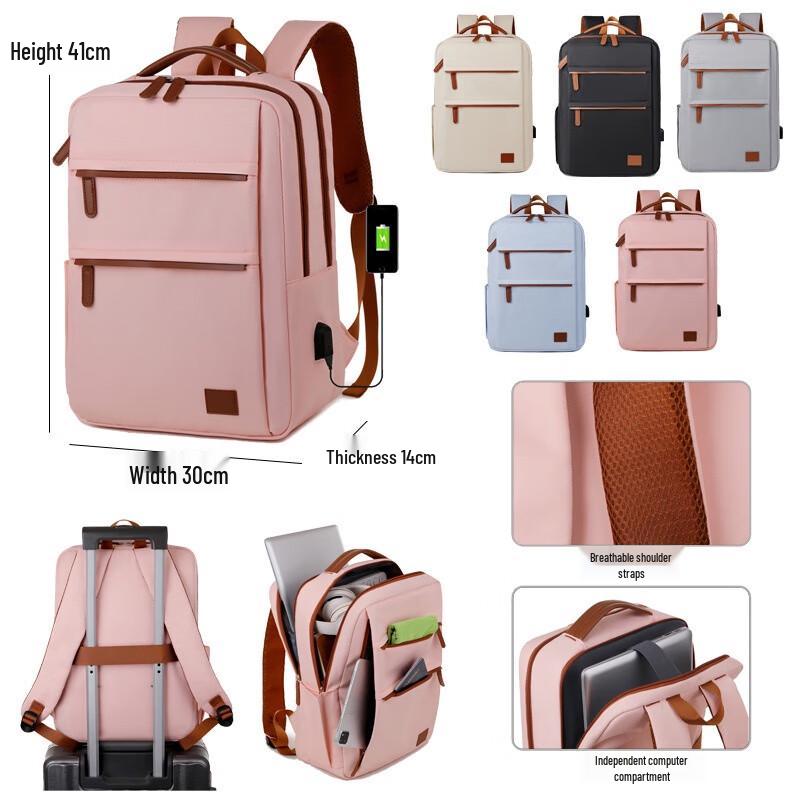 Li Shen Laptop Backpack