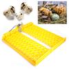 132pcs Eggs Automatic Egg Turner Turning Tray for Automatic Egg Incubator Tray Incubation Accessory