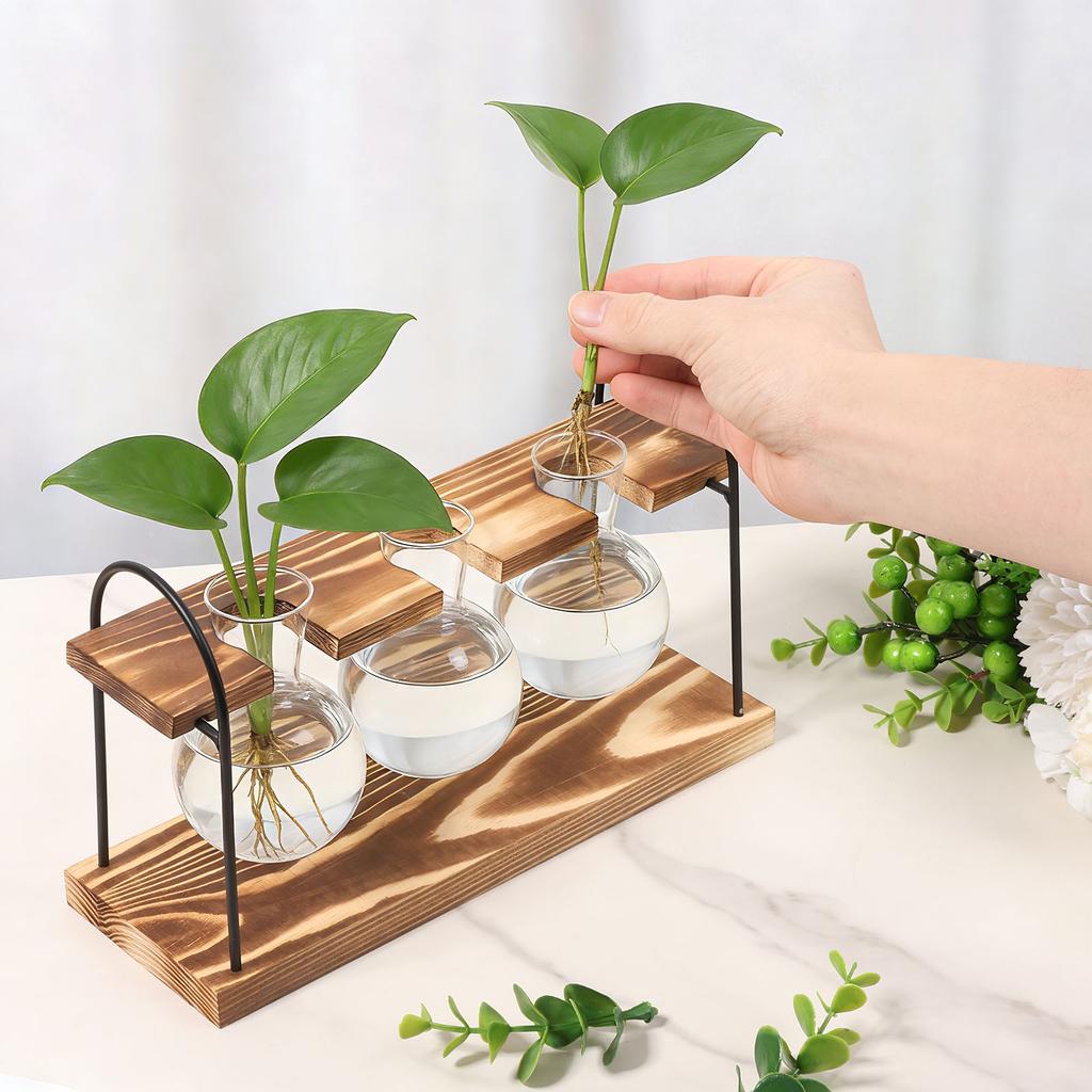 2 Stück Pflanzen-Terrarium Glasvase mit Holzständer zur Vermehrung Kleine Hydrokulturpflanzen Heim-/Büro-Schreibtischdekoration