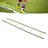Speed Agility Training Ladder 2.6m Fixed Agility Ladder Speed Training Equipment for Football Basketball
