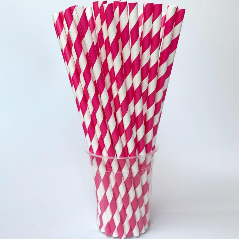 Individually Wrapped Biodegradable Striped Paper Straws