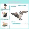 Authentic Pvc Poultry Animal Figurines Mother Duck Hen With Chicks And Canada Goose
