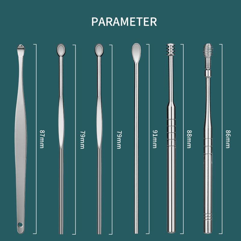 6Pcs Silver Stainless steel ear cleaning kit earwax cleaner tools