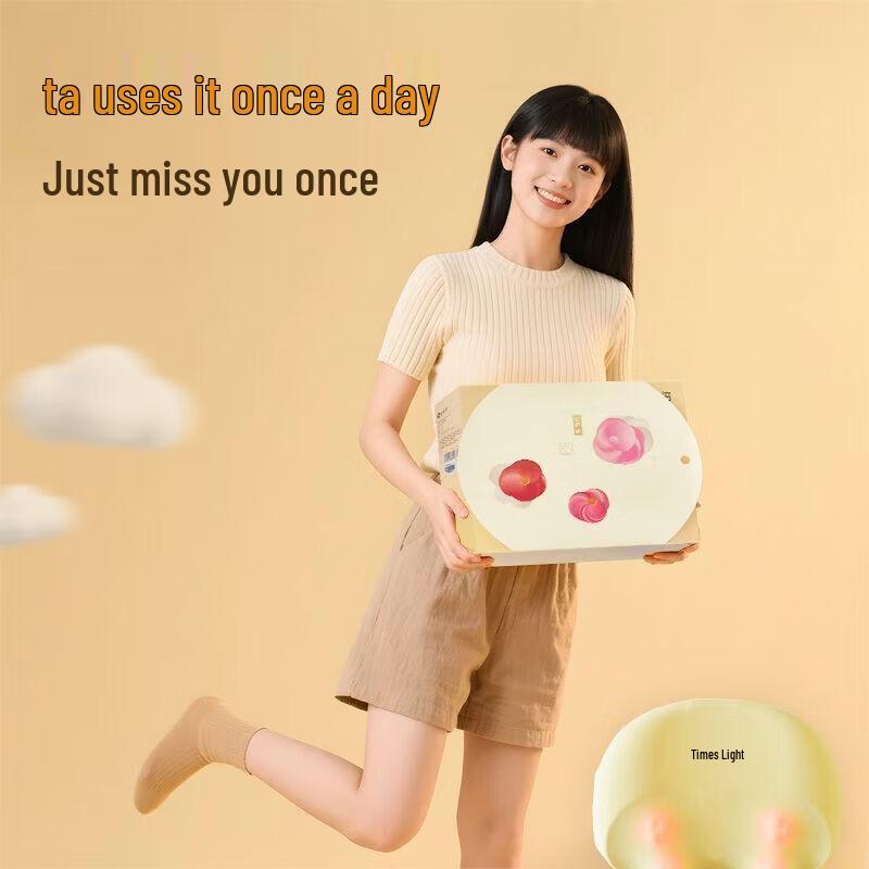 Breo B2 Pro Heated Lumbar Massager Cushion CN plug (adapter included)