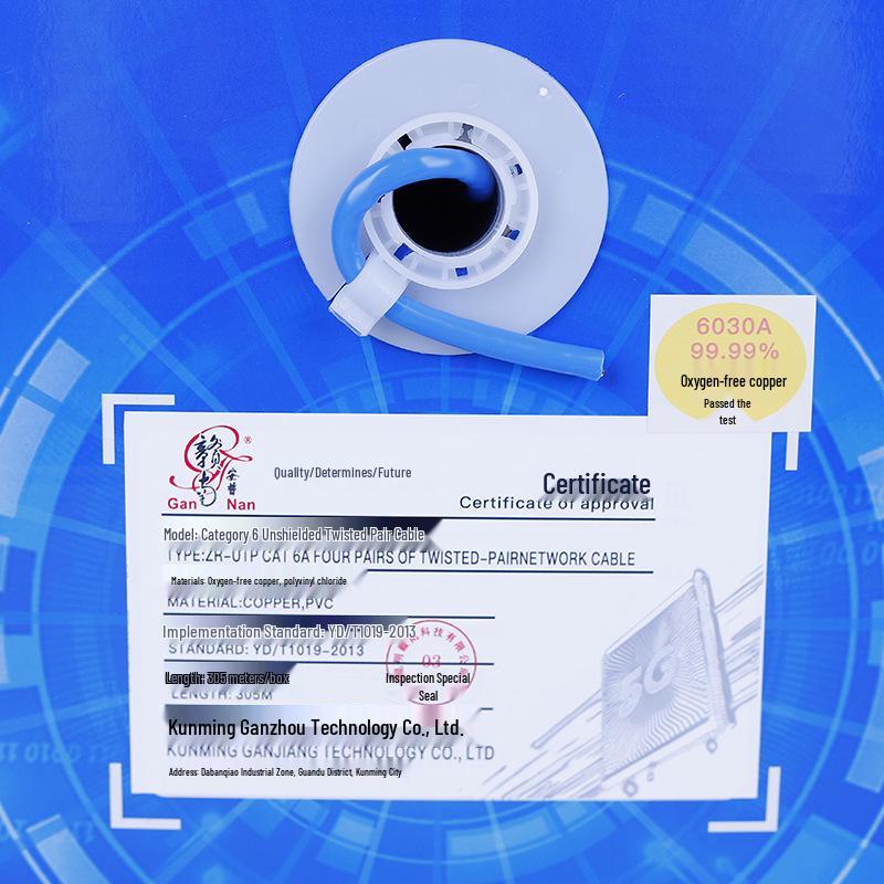 Cat6A Oxygen-Free Copper Network Cable, Gigabit, Non-Twisted Pair, FLUK Certified for Engineering and Monitoring