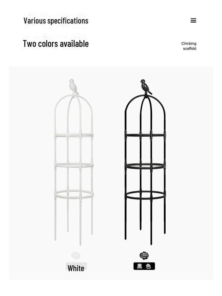 Black European Garden Plant Climbing Rack