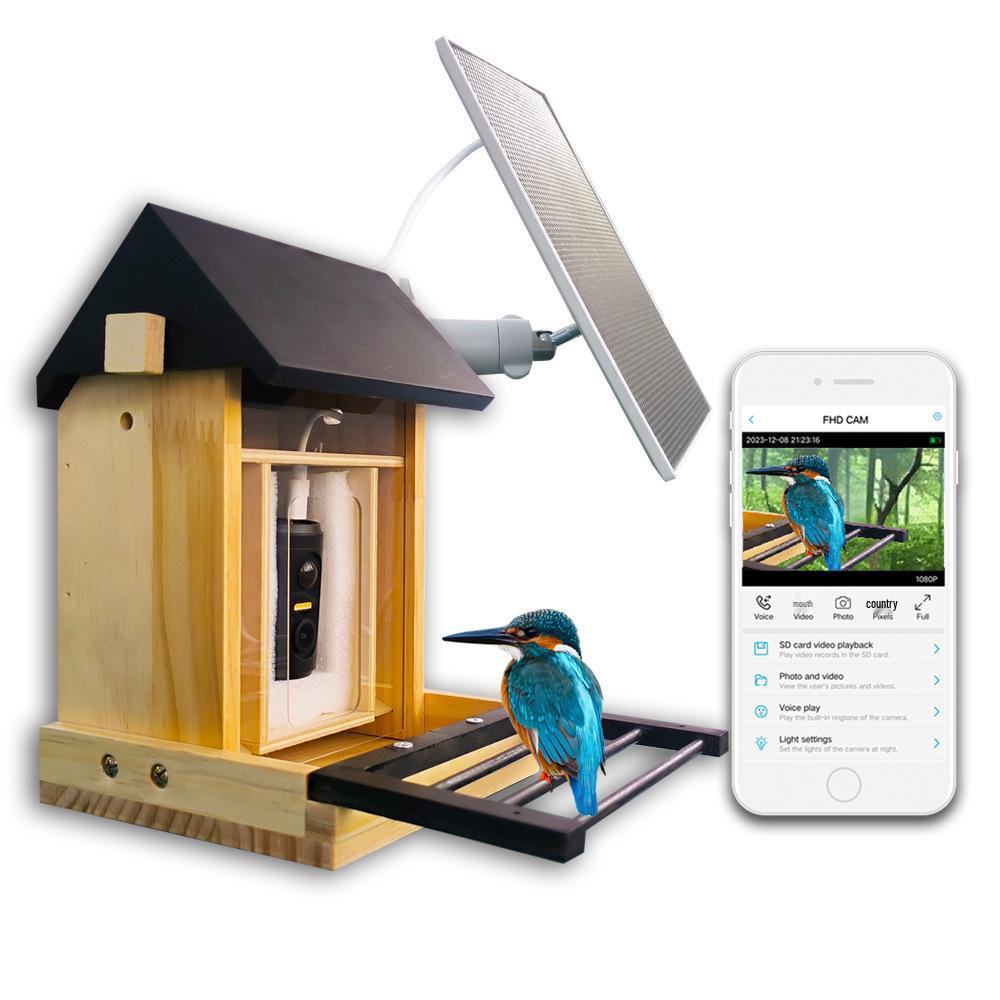 Solar-Powered WiFi Bird Feeder Camera with Motion-Activated Recording