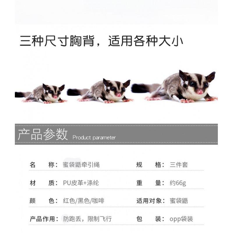 Pet Pouch Sling Carrier Sugar Glider With Adjustable Harness Leash Safe Outdoor Walking Accessory