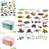 Realistic Animal Growth Cycle Storage Box Set With Mosquito Spider Ladybug Frog Worm Snail Models In Pink And Blue