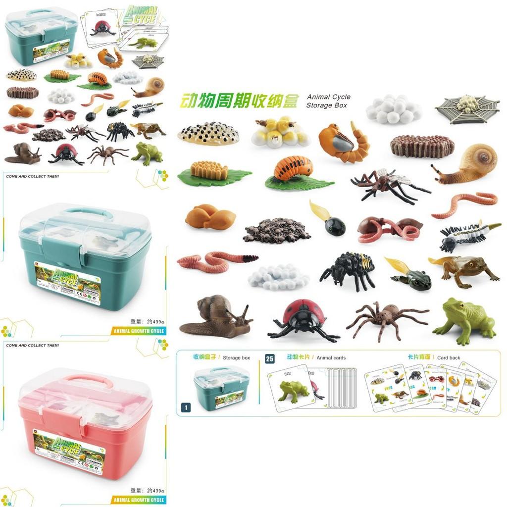 Realistic Animal Growth Cycle Storage Box Set With Mosquito Spider Ladybug Frog Worm Snail Models In Pink And Blue