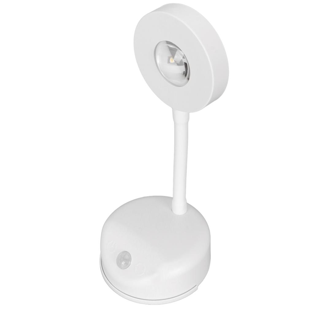 LED Motion Sensor Picture Light Battery Operated Rechargeable Wall Sconce Dimmable 3 Color