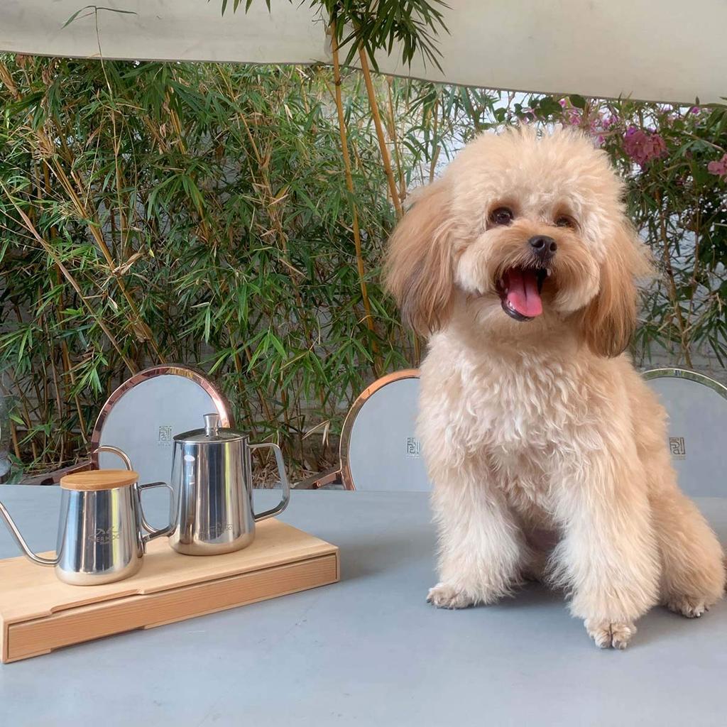 MERMOO YILAN 350ml Coffee Drip Stovetop with Swan Narrow Coffee for and Travel Pot, Safe, Lid, Insulated, Neck, Spout, Single-Serve Kettle, Home,