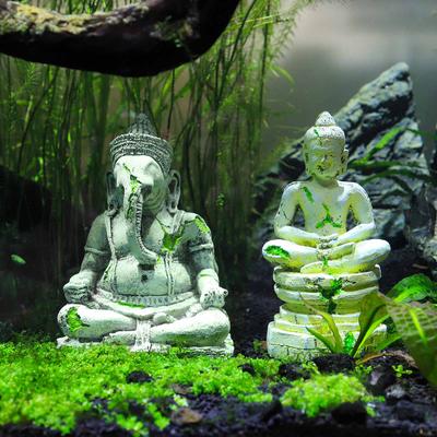 Buy Cheap Buddha Aquarium Low Prices Free Shipping Online Store