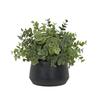 365 Blooming Decor Artificial Eucalyptus Fake Potted 26cm Tall X 29cm Black Textured Pot with Natural No Assembly Premium Realistic Interior for