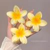 1Pcs Egg Flower Hair Claw Clip Female Bohemian Style Hairpin Graceful Hair Clips Medium Shark Clip Hair Clip Headpiece
