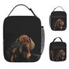 Dachshund Dog Insulated Lunch Bags High Capacity Wiener Sausage Doxie Lunch Container Thermal Bag Tote Lunch Box Travel Girl Boy