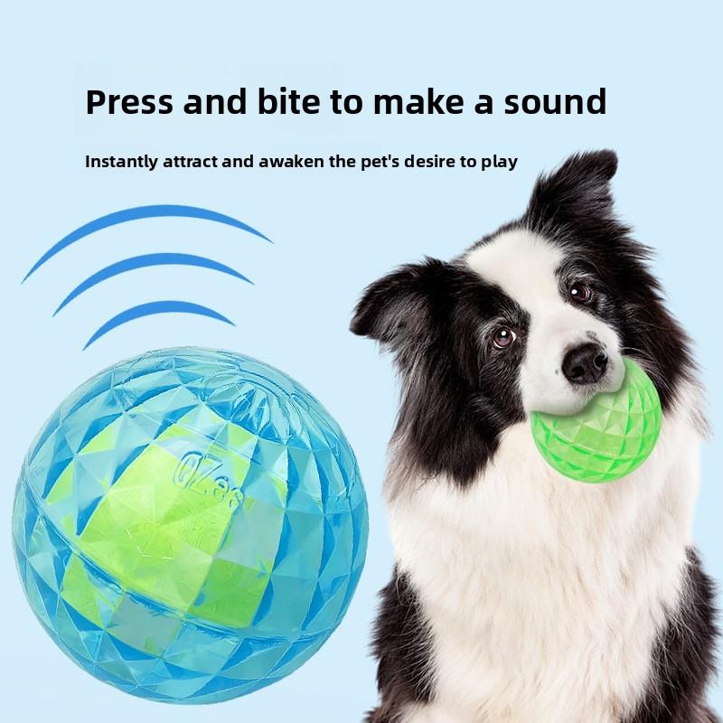 Haustier-Sprachaktiviertes Gummi-Spielzeug mit Leuchte für kleine Hunde zum Spielen im Freien