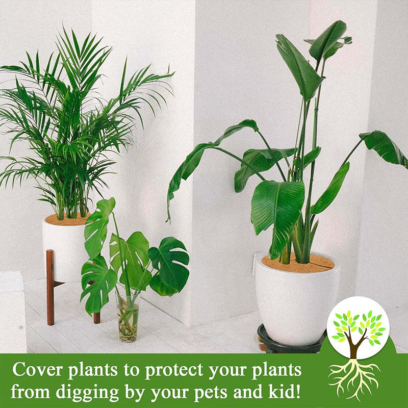 Coconut Fiber Mulch Ring Tree Plant Protector Mat Tree Protection Ring Plant Pot Soil Cover Veranda Garden Greenhouse Tarpaulin