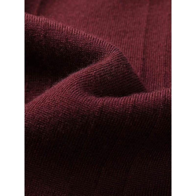 Youngor Men's Autumn/Winter Washable V-Neck Wool Vest