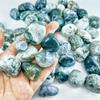 Large Aquatic Plant Agate Crystal Stones for Aquarium and Office Decoration