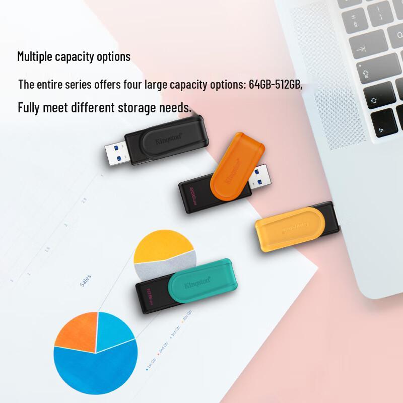 Kingston DTXS USB 3.2 Gen 1 Flash Drive 64GB