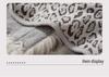 Autumn/Winter Leopard Print Fur Collar Batwing Sleeve Cardigan for Women