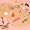 Montessori Plant & Animal Life Cycle Educational Toy Set for Early Learning