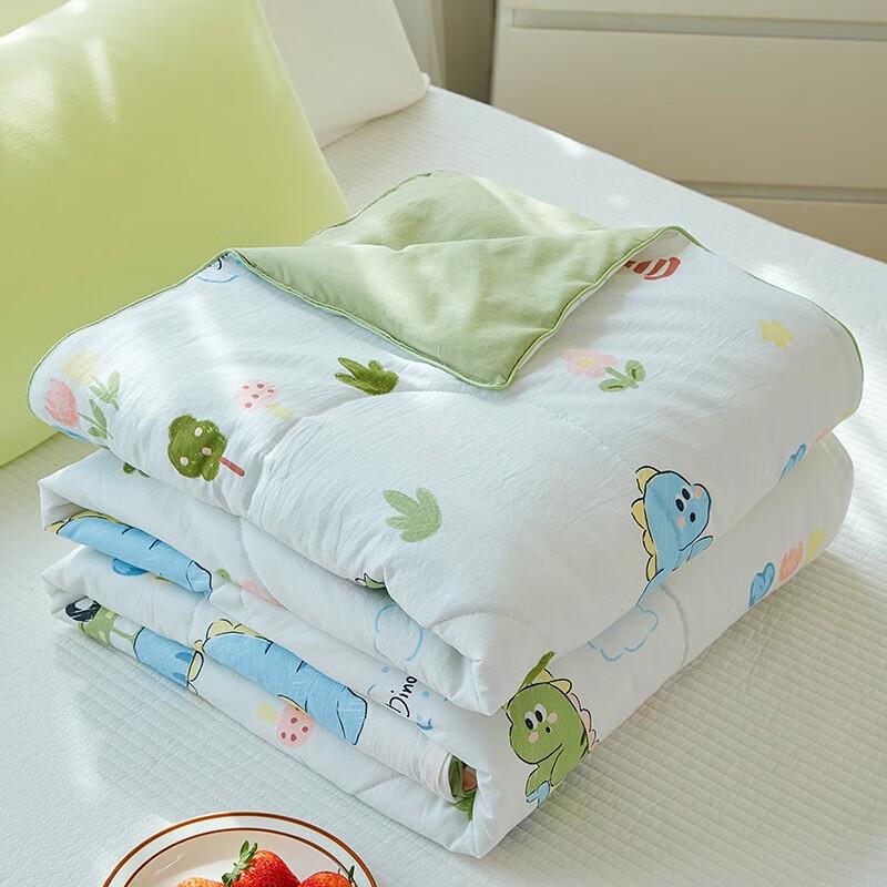 AilanhuiJia WZ Dinosaur Paradise Summer Quilt