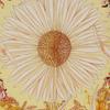 Hermes Carree42 Scarf AMOURS Amore Sunflower Yellow Silk Women Used